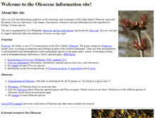 Tablet Screenshot of oleaceae.info